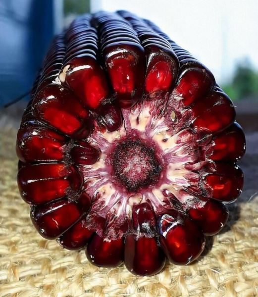 Удивительные фотографии, в реальность которых сложно поверить (35 фото)