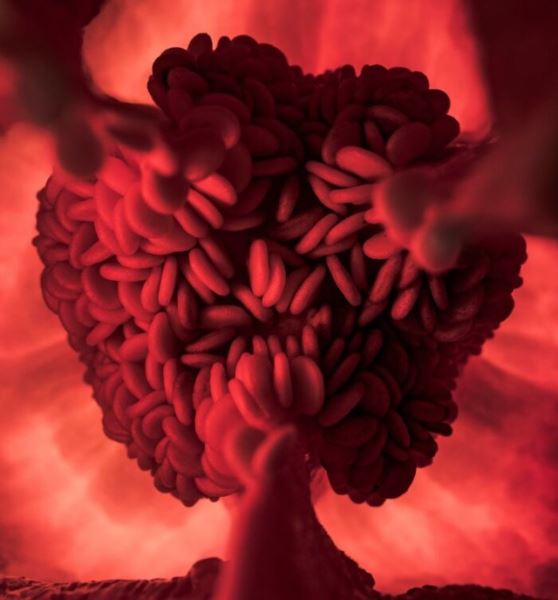 Удивительные фотографии, в реальность которых сложно поверить (35 фото)