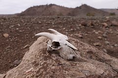 Ученый оценил вероятность наступления конца света через 10 лет