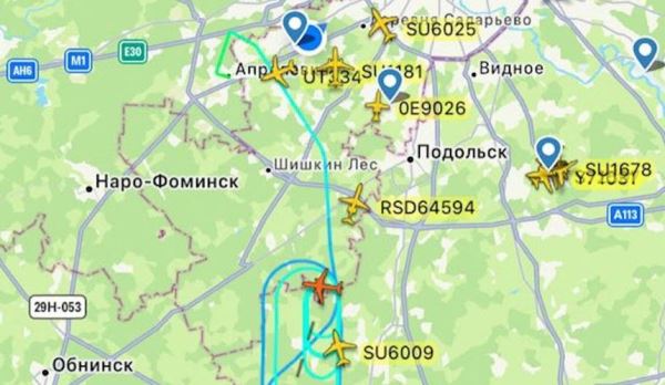 Борт Turkish Airlines не улетел в Анталью из Москвы из-за столкновения с птицами